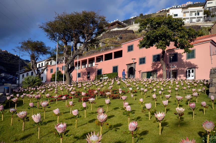 Flower Festival Calheta